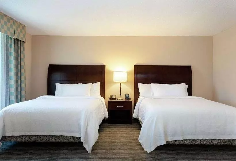 スタンダードルーム, Hilton Garden Inn Mobile West I 65/airport Blvd