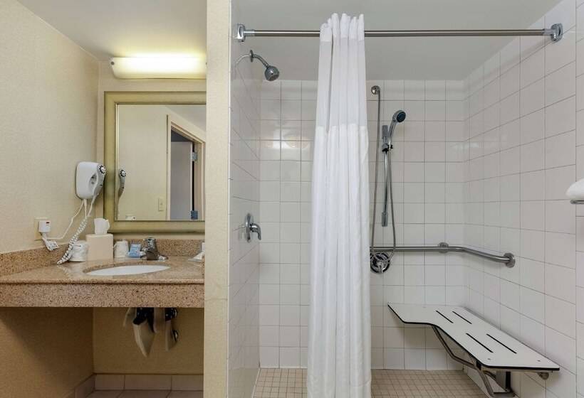 장애인을 위한 스탠다드 룸, Hilton Garden Inn Mobile West I 65/airport Blvd