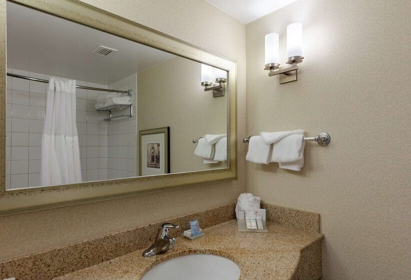 身障者適用スタンダードルーム, Hilton Garden Inn Mobile West I 65/airport Blvd