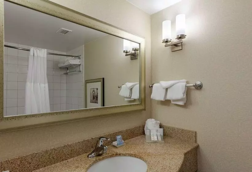 身障者適用スタンダードルーム, Hilton Garden Inn Mobile West I 65/airport Blvd