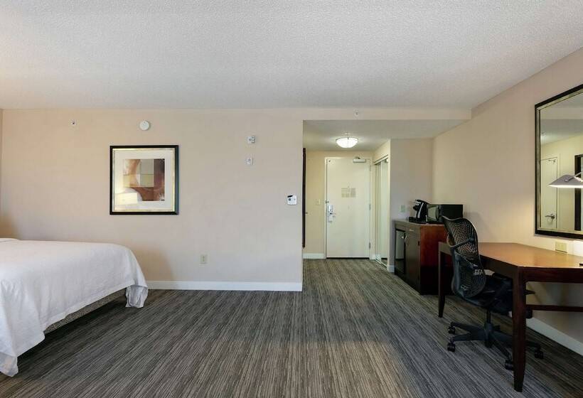 身障者適用スタンダードルーム, Hilton Garden Inn Mobile West I 65/airport Blvd