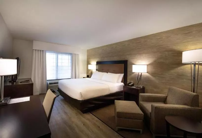 キングサイズベッドのスタンダードルーム, Holiday Inn Hotel & Suites Bloomington Airport, An Ihg