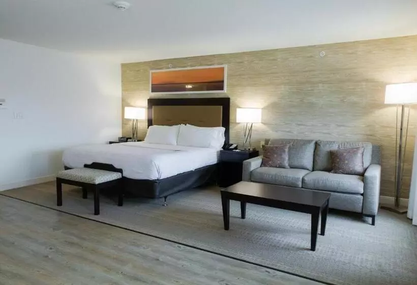 身障者適用キングサイズベッドルーム, Holiday Inn Hotel & Suites Bloomington Airport, An Ihg