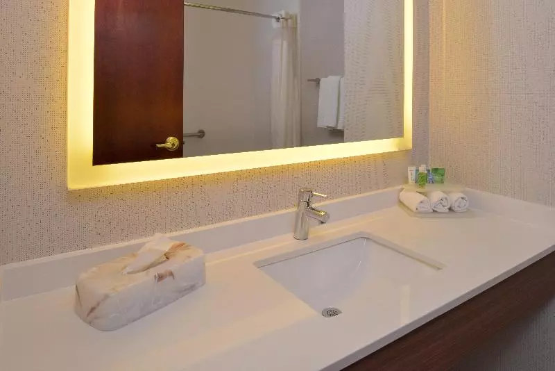 اتاق استاندارد با تخت بزرگ, Holiday Inn Express Hotel & Suites Abilene Mall South, An Ihg