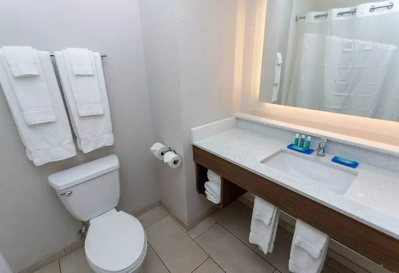 スイート, Holiday Inn Express Hotel & Suites Athens By Ihg