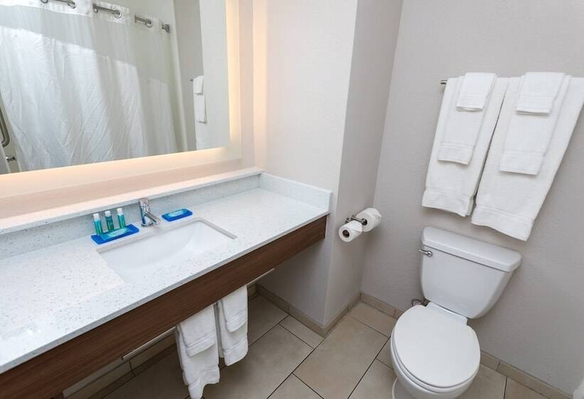Люкс, Holiday Inn Express Hotel & Suites Athens By Ihg