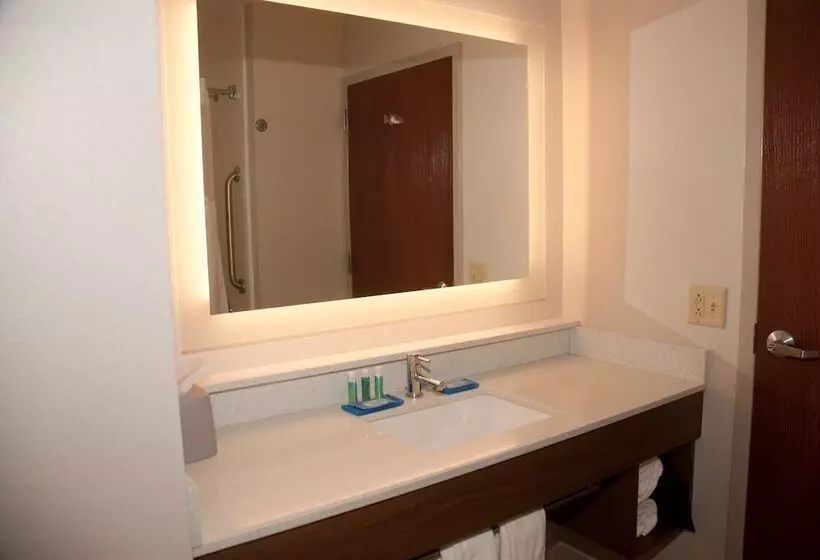 スタンダードルーム, Holiday Inn Express Hotel & Suites Athens By Ihg