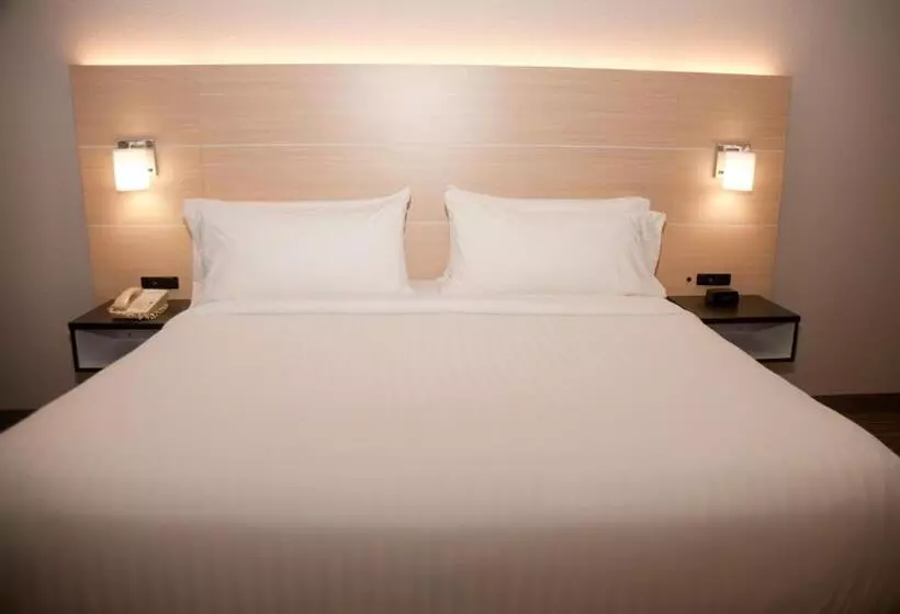 身障者適用キングサイズベッドルーム, Holiday Inn Express Hotel & Suites Athens By Ihg