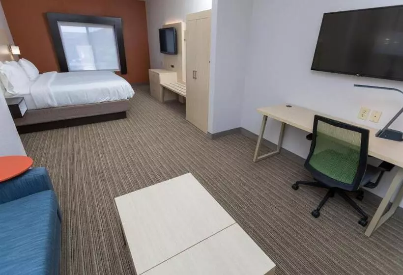 身障者適用キングサイズベッドルーム, Holiday Inn Express Hotel & Suites Athens By Ihg