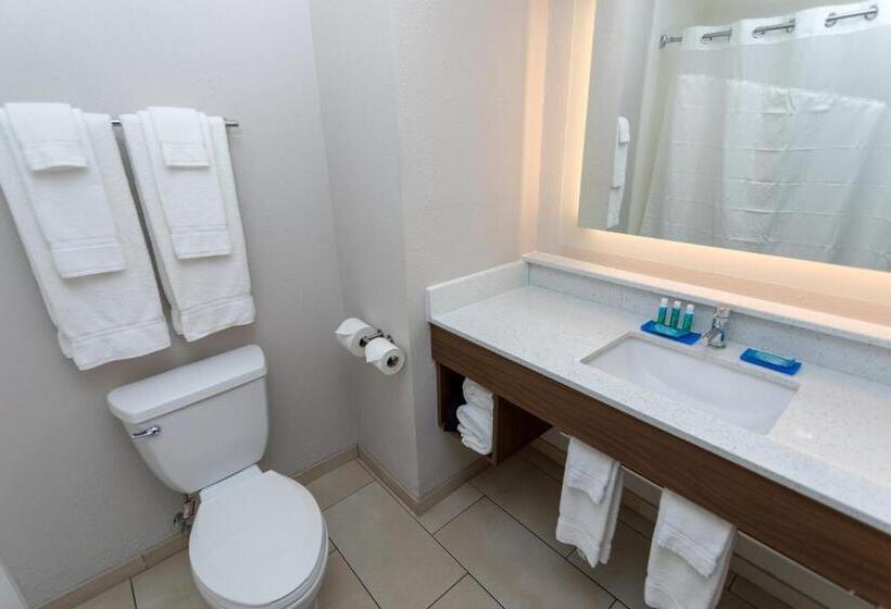 Люкс Кровать Кинг, Holiday Inn Express Hotel & Suites Athens By Ihg