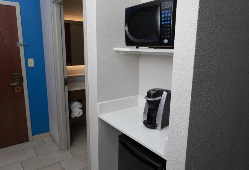 Стандартный Номер Кровать Кинг, Holiday Inn Express Hotel & Suites Athens By Ihg
