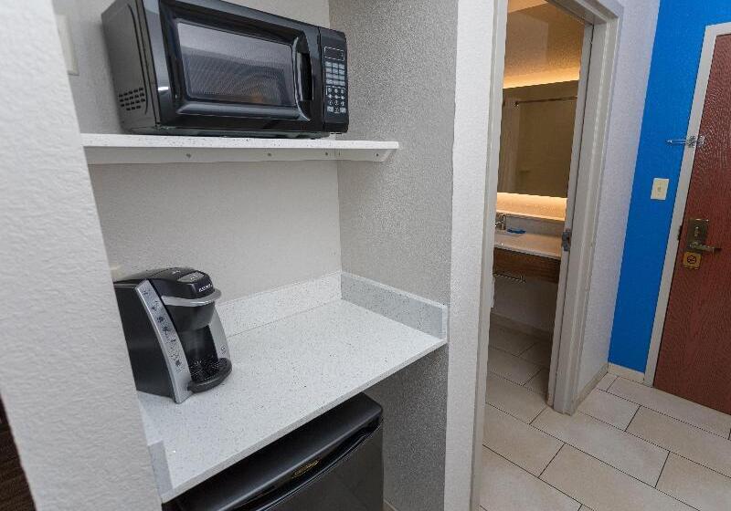 غرفة قياسية سرير كينج, Holiday Inn Express Hotel & Suites Athens By Ihg