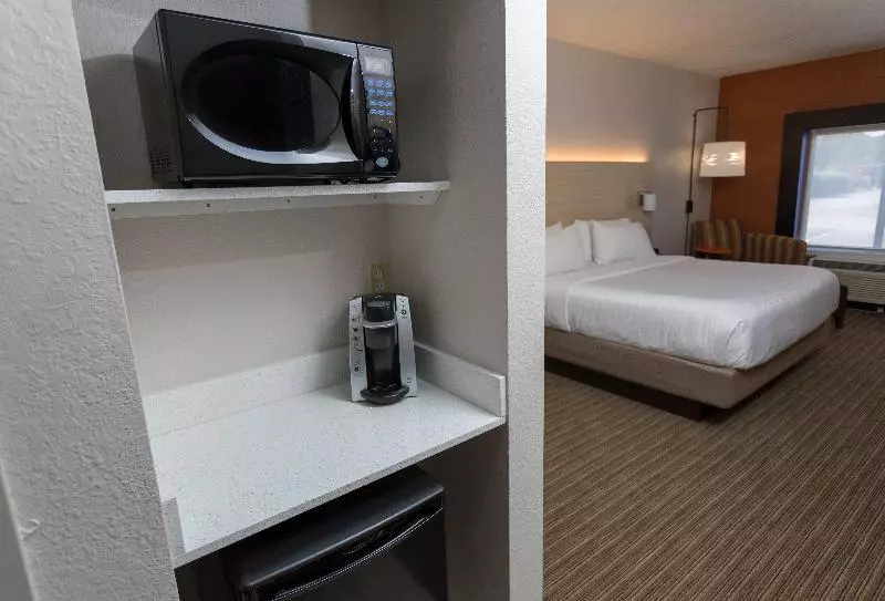 キングサイズベッドのスタンダードルーム, Holiday Inn Express Hotel & Suites Athens By Ihg