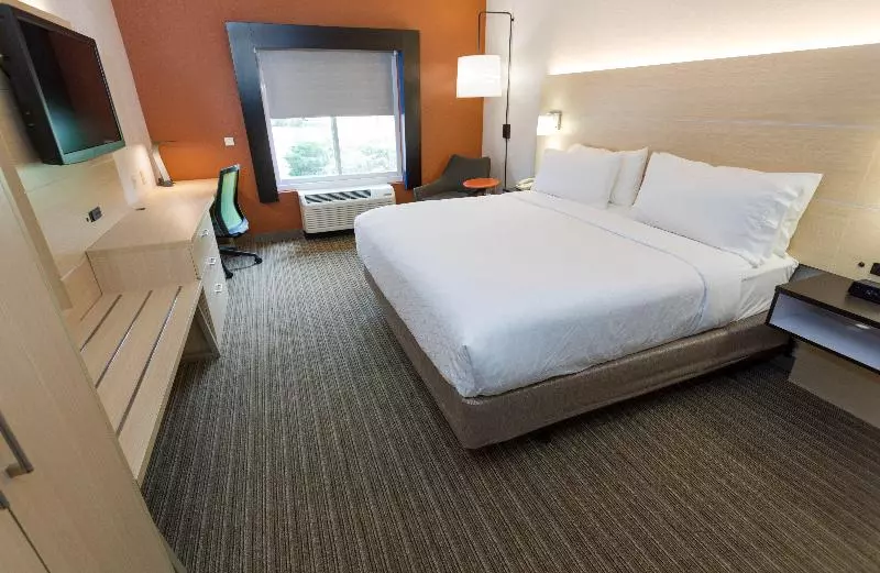 キングサイズベッドのスタンダードルーム, Holiday Inn Express Hotel & Suites Athens By Ihg