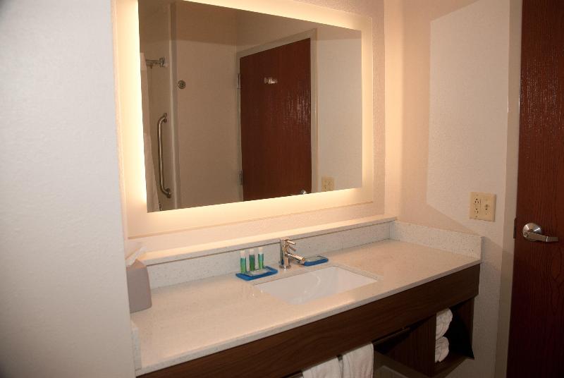 Люкс Кровать Кинг, Holiday Inn Express Hotel & Suites Athens By Ihg
