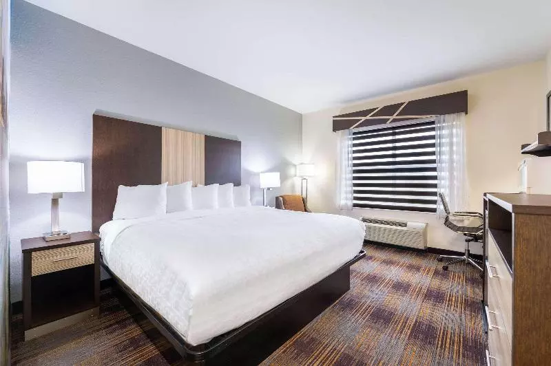 キングサイズベッドのスイートルーム, Holiday Inn Express Hotel & Suites Athens By Ihg