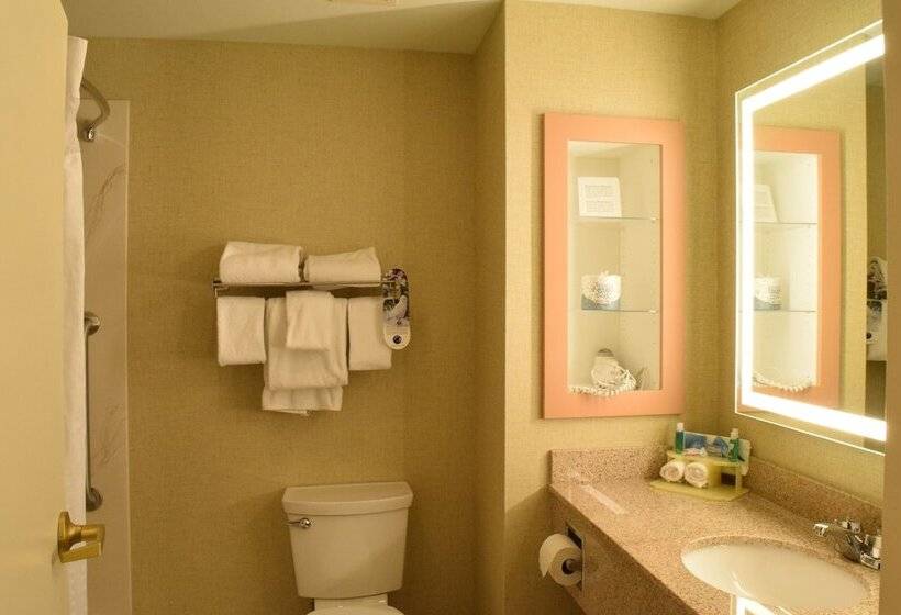 غرفة قياسية, Holiday Inn Express Hotel & Suites Watertown   Thousand Islands, An Ihg