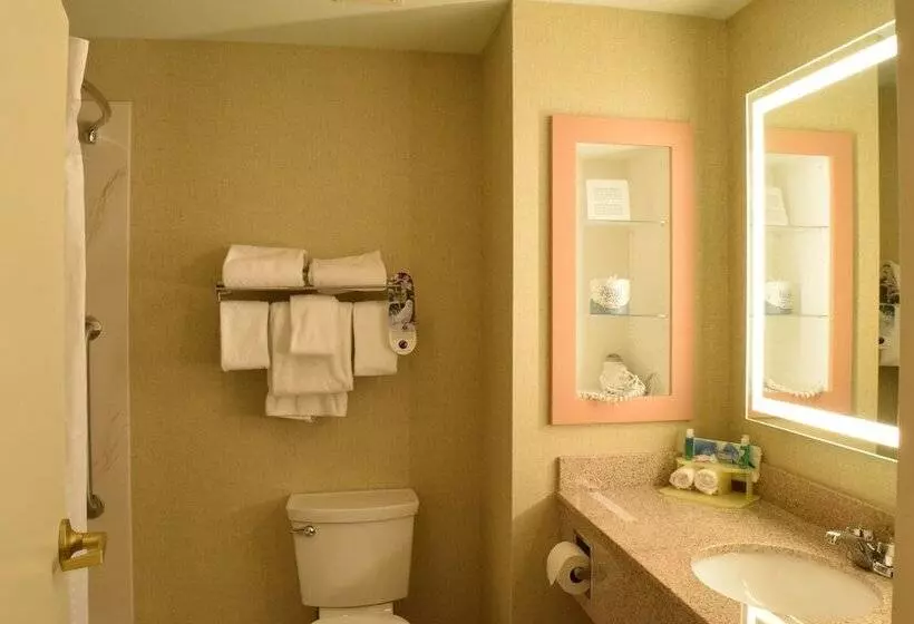 اتاق استاندارد, Holiday Inn Express Hotel & Suites Watertown Thousand Islands, An Ihg