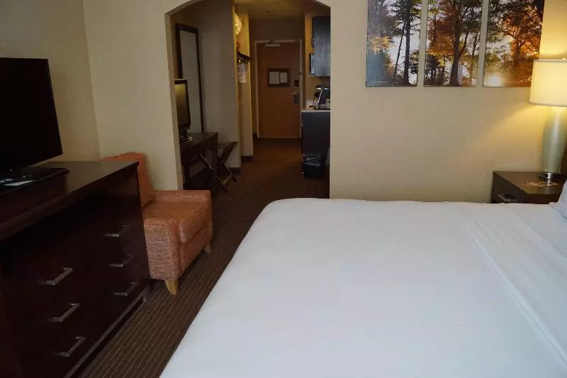 سوئیت اجرایی با تخت کینگ, Holiday Inn Express Hotel & Suites Watertown Thousand Islands, An Ihg