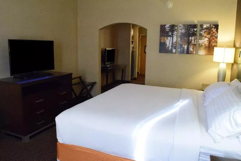 سوئیت اجرایی با تخت کینگ, Holiday Inn Express Hotel & Suites Watertown Thousand Islands, An Ihg