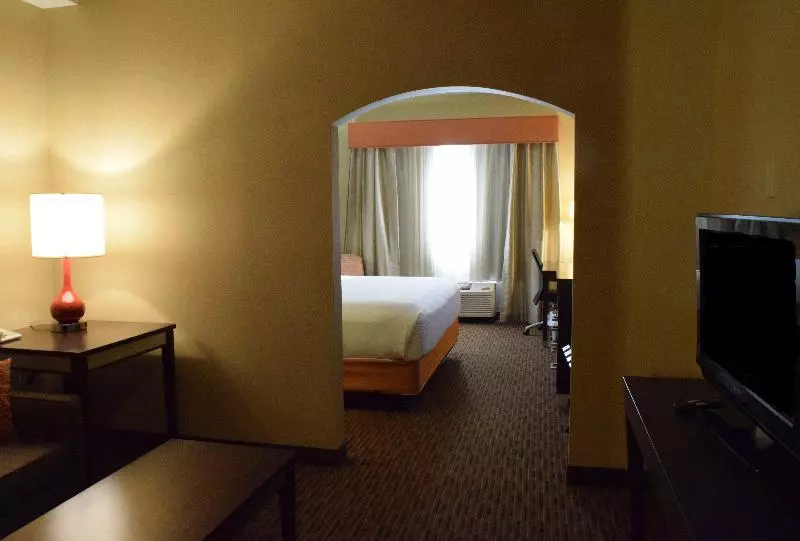 سوئیت اجرایی با تخت کینگ, Holiday Inn Express Hotel & Suites Watertown Thousand Islands, An Ihg