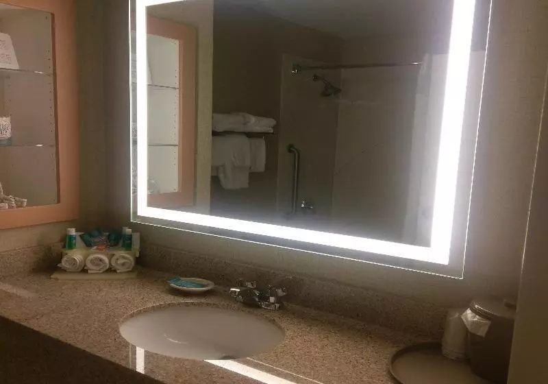 سوئیت اجرایی با تخت کینگ, Holiday Inn Express Hotel & Suites Watertown Thousand Islands, An Ihg