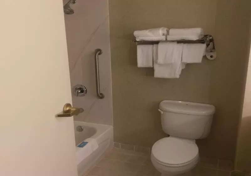 اتاق استاندارد با تخت بزرگ, Holiday Inn Express Hotel & Suites Watertown Thousand Islands, An Ihg