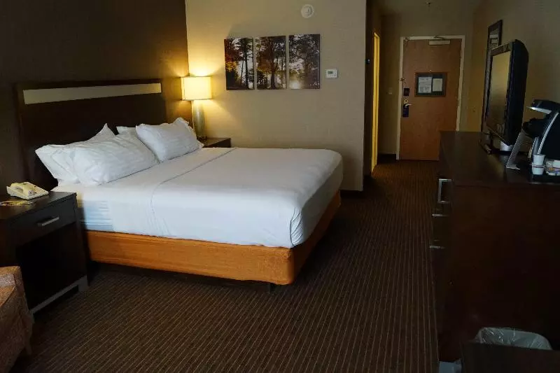 اتاق استاندارد با تخت بزرگ, Holiday Inn Express Hotel & Suites Watertown Thousand Islands, An Ihg