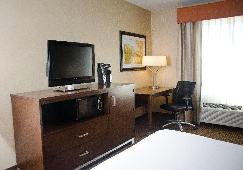 غرفة قياسية سرير كينج, Holiday Inn Express Hotel & Suites Watertown   Thousand Islands, An Ihg