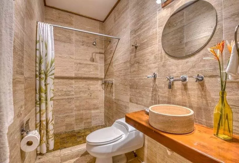 اتاق اکونومی, Palma Royale