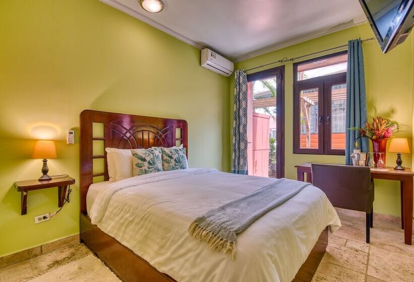 غرفة إقتصادية, Palma Royale