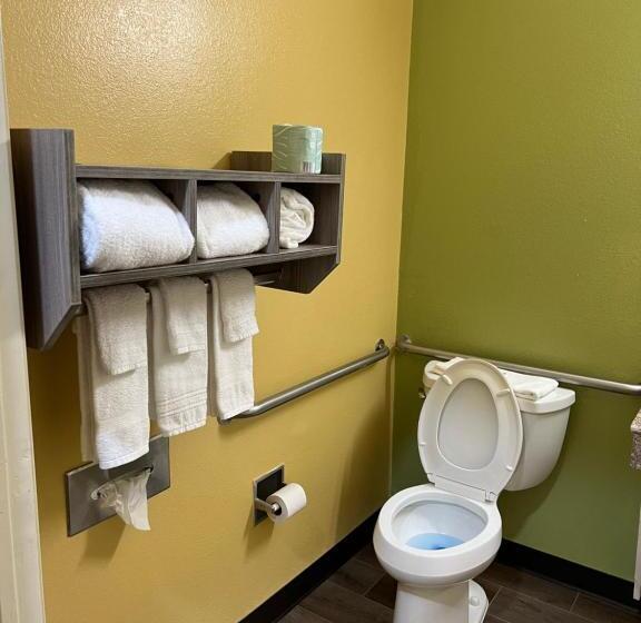 غرفة قياسية سرير كينج لذوى الإحتياجات الخاصة, Quality Inn Bay City Tx