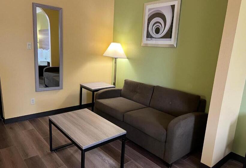 غرفة قياسية سرير كينج, Quality Inn Bay City Tx