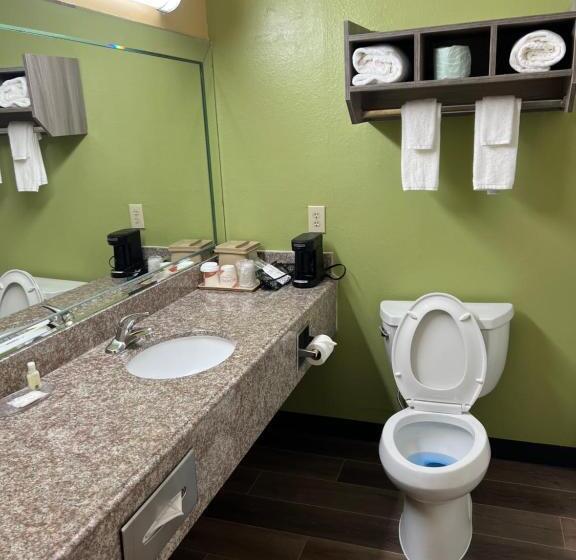 غرفة قياسية سرير كينج, Quality Inn Bay City Tx