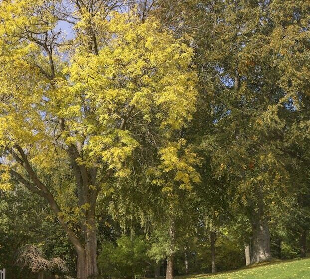 غرفة قياسية, Villa Lovik