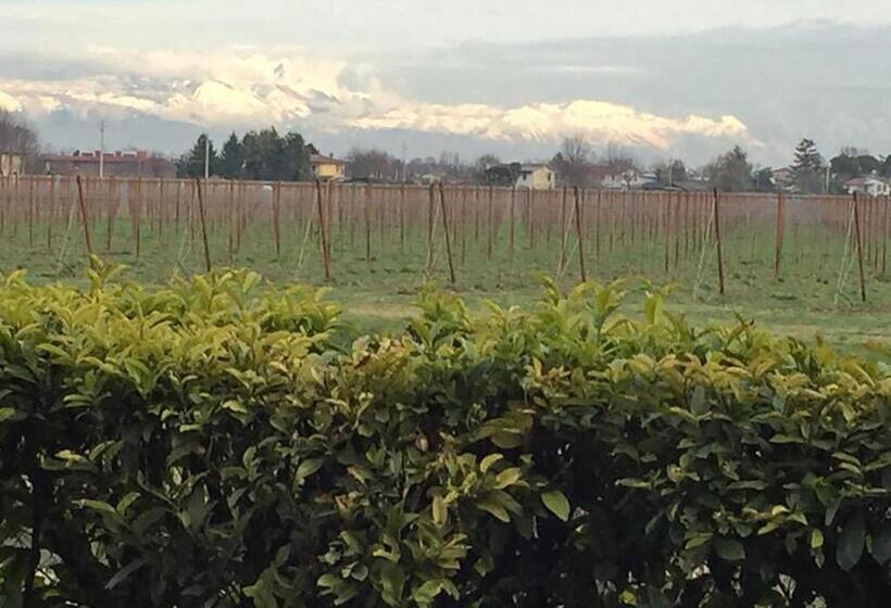 חדר סטנדרט, Ca  Ciaran