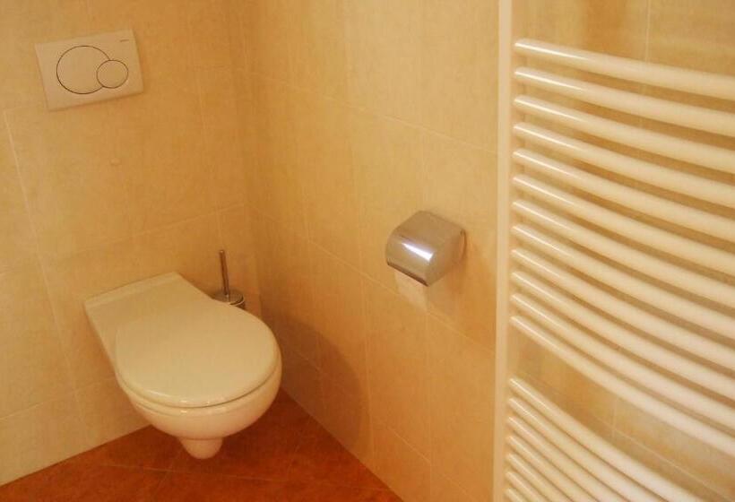 标准单人间, Gasthaus Jaufenblick