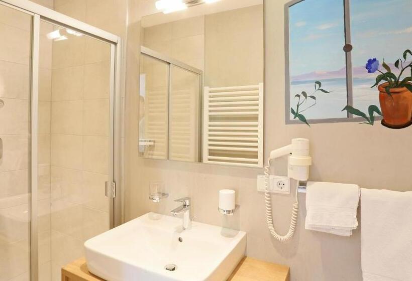 스탠다드 룸, Pension Alpenhof B&b