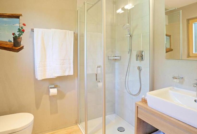 Номер Стандарт, Pension Alpenhof B&b
