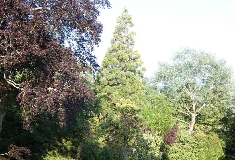 豪华房间, Chateau De Hiéville