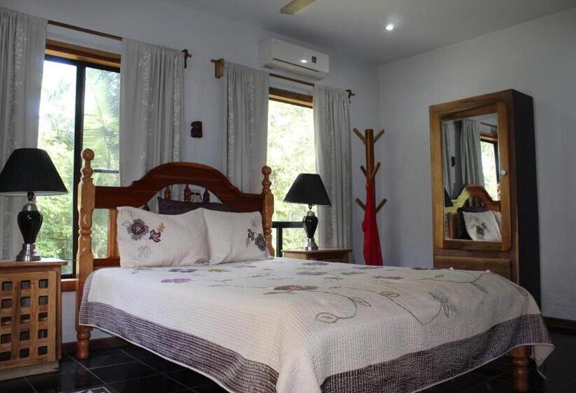 디럭스 룸, Calico Jack's Resort