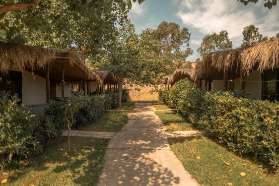 غرفة كلاسيكية رباعية, Riva Del Sol Beach Resort