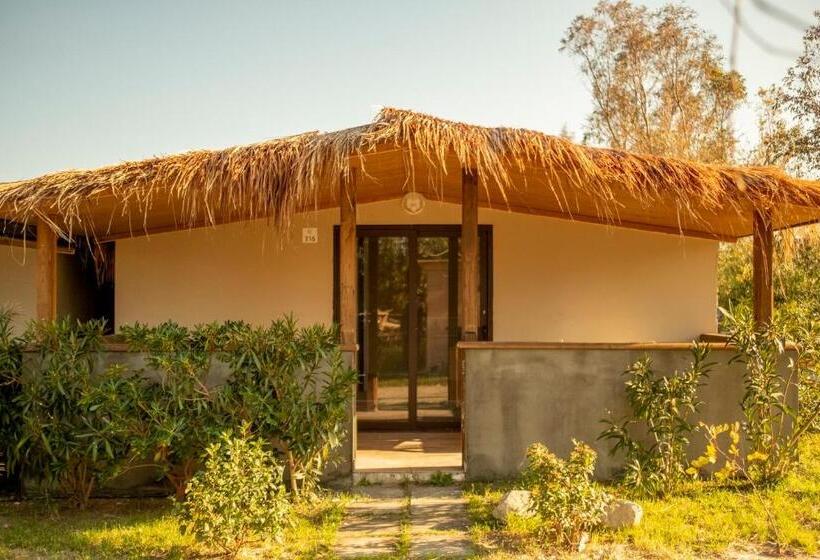 غرفة كلاسيكية رباعية, Riva Del Sol Beach Resort