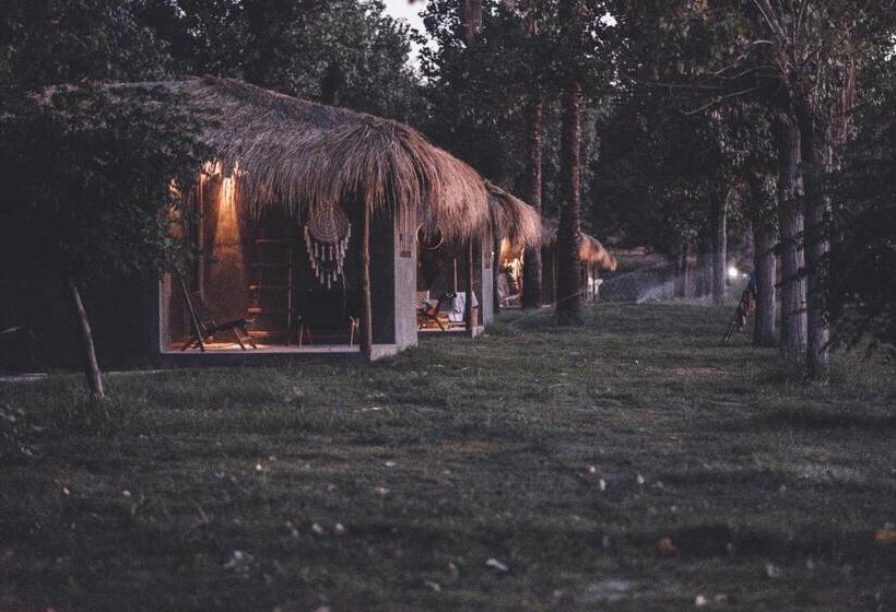 بنجلو قياسى مطل على البحر, Riva Del Sol Beach Resort