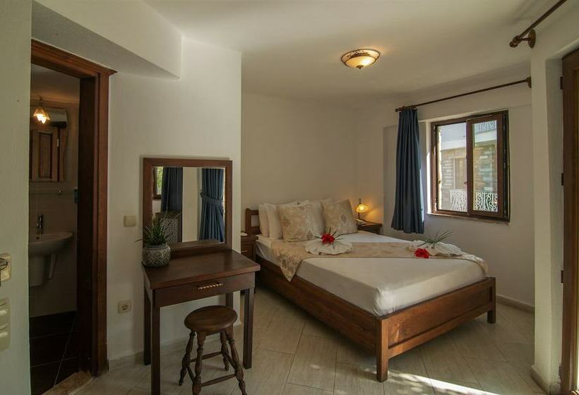 スタンダードルーム, Turay