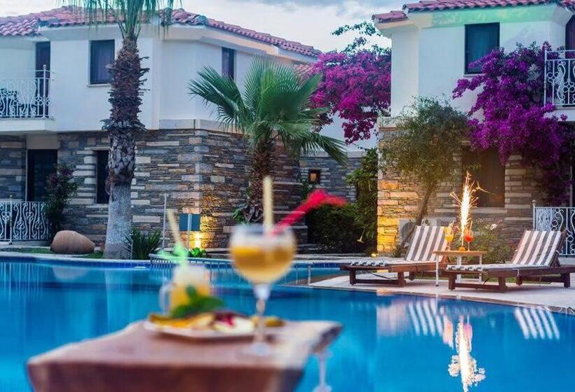 スタンダードルーム, Turay