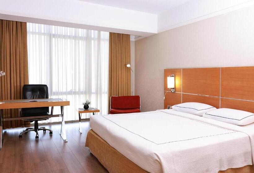 Номер Superior, Anemon Grand Denizli Otel