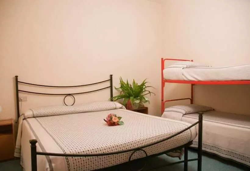 スタンダード４人部屋, Belvedere