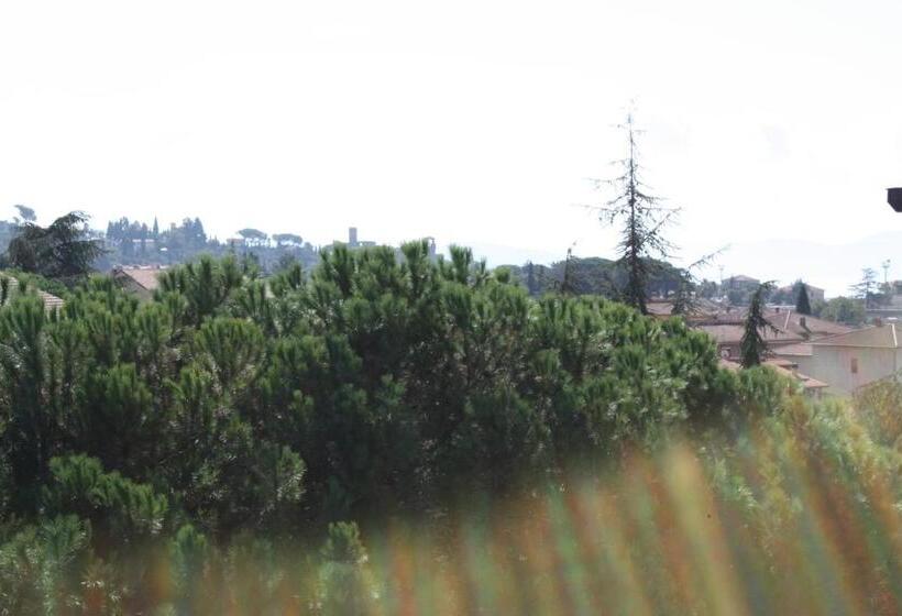 اتاق استاندارد, Belvedere