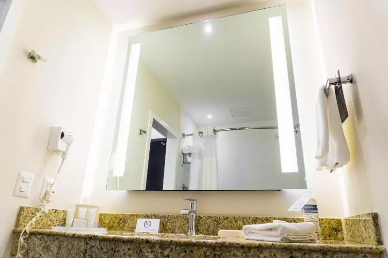 اتاق استاندارد با تخت بزرگ, Courtyard By Marriott San Luis Potosi